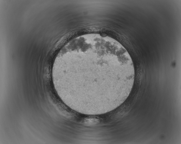 X0000115590220200912081057