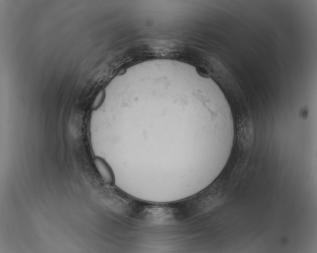 X0000115590221200912081057