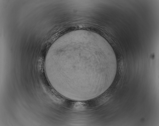 X0000115590222200912081057