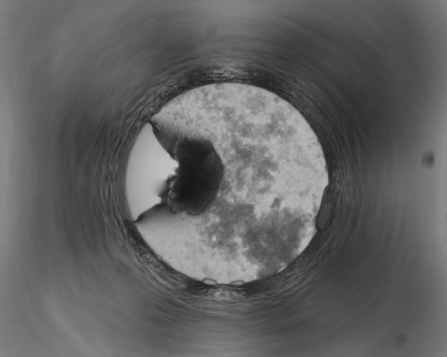 X0000115590223200912081057