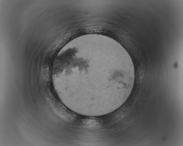 X0000115590224200912081057