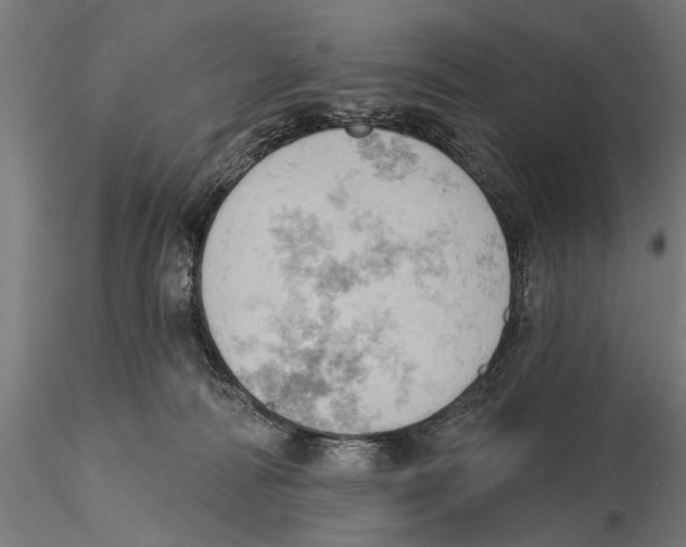 X0000115590226200912081057