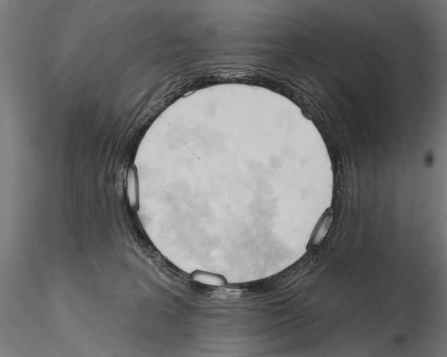 X0000115590227200912081057