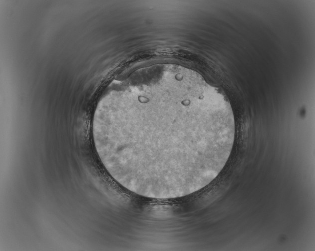 X0000115590228200912081056
