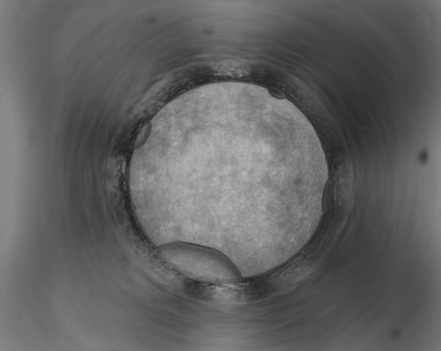 X0000115590229200912081056