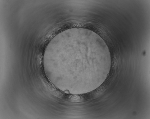 X0000115590230200912081056