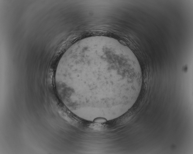 X0000115590231200912081056