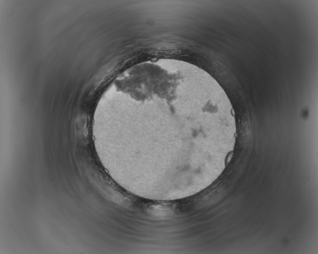 X0000115590232200912081056