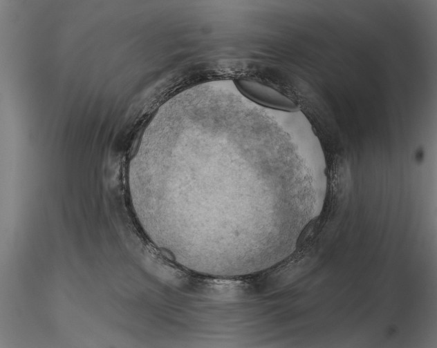 X0000115590233200912081056
