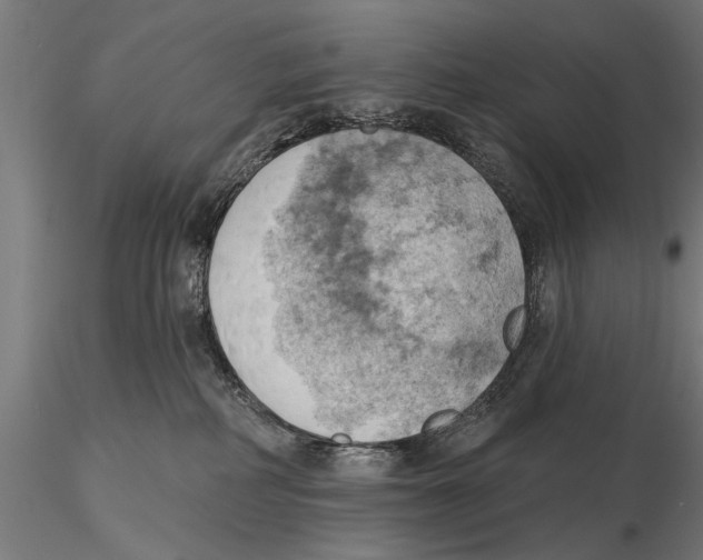 X0000115590234200912081056