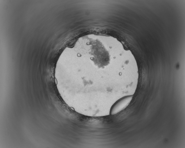 X0000115590236200912081056