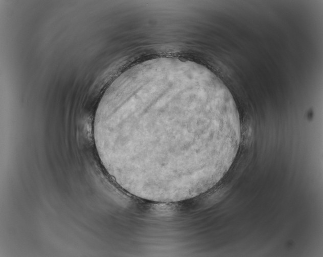 X0000115590238200912081056