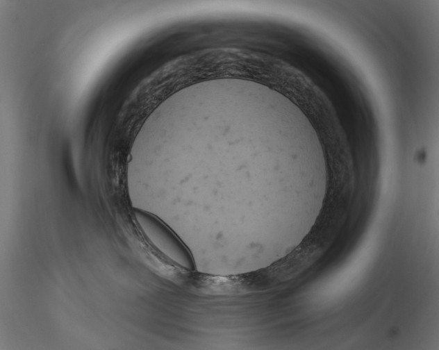 X0000115590239200912081056