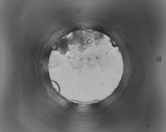 X0000115590240200912081056