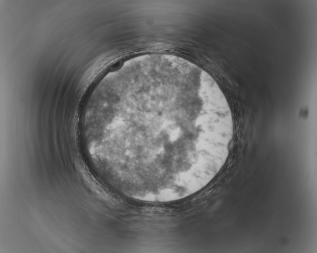 X0000115590242200912081056