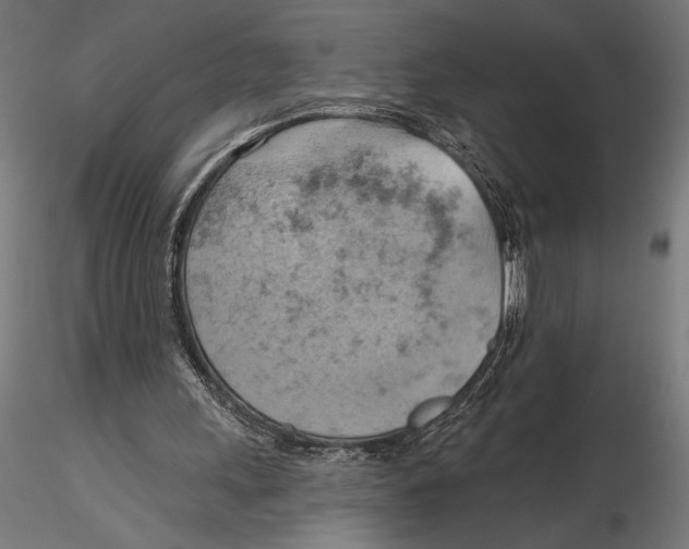 X0000115590243200912081056
