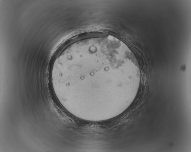 X0000115590244200912081056