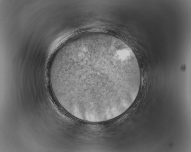 X0000115590245200912081056