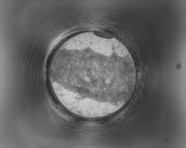 X0000115590246200912081056