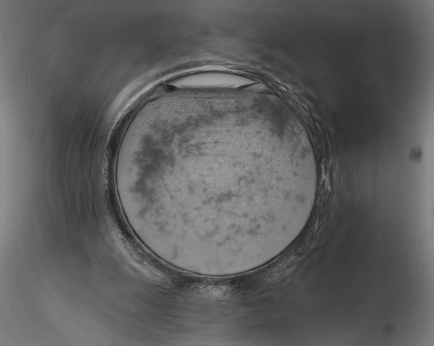 X0000115590247200912081056