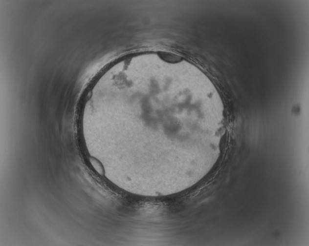 X0000115590248200912081056