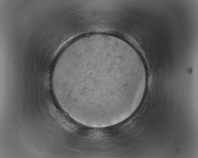 X0000115590249200912081056