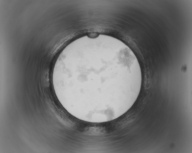 X0000115590251200912081056