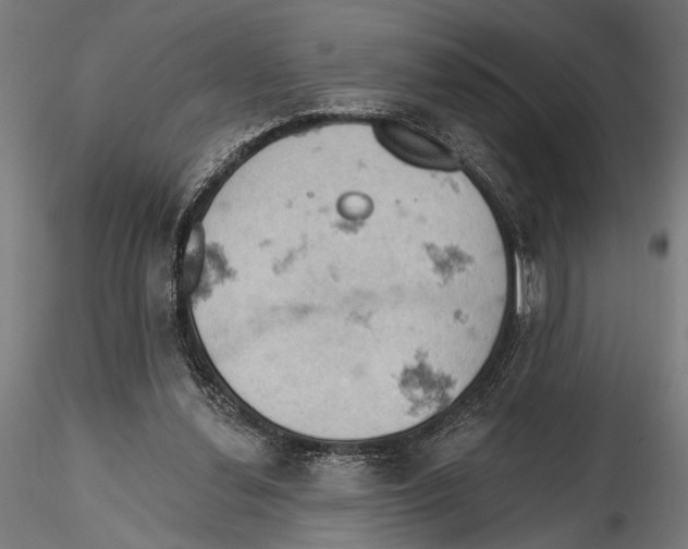 X0000115590252200912081056