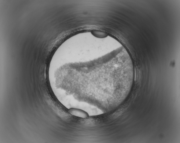 X0000115590253200912081056