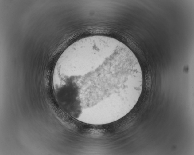 X0000115590255200912081056