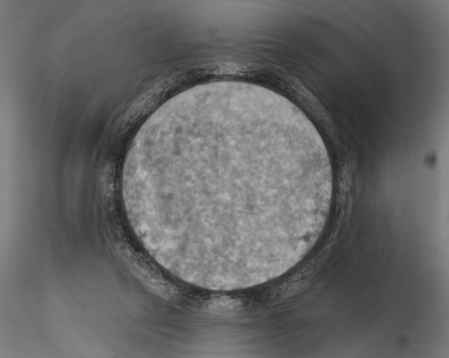 X0000115590257200912081056