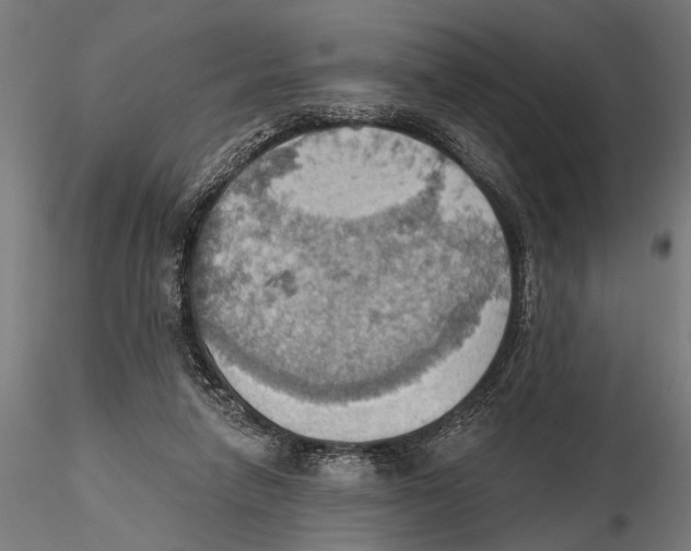 X0000115590258200912081056