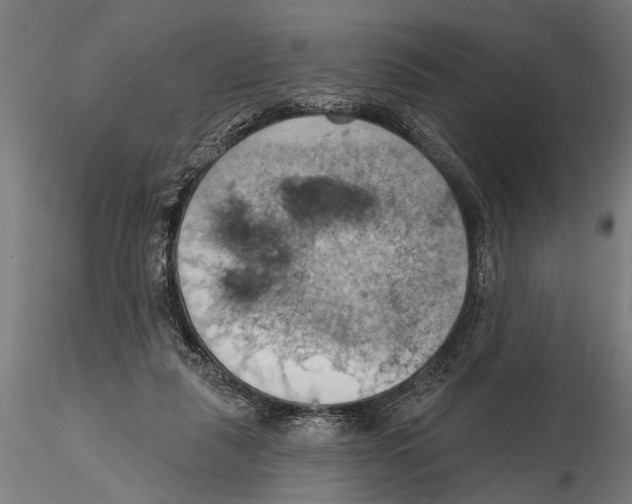 X0000115590259200912081056