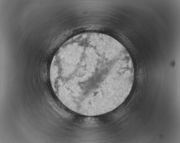 X0000115590261200912081056