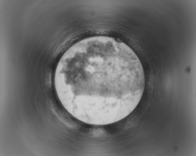X0000115590262200912081056