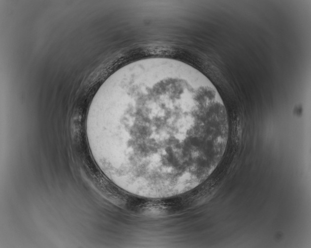 X0000115590263200912081056
