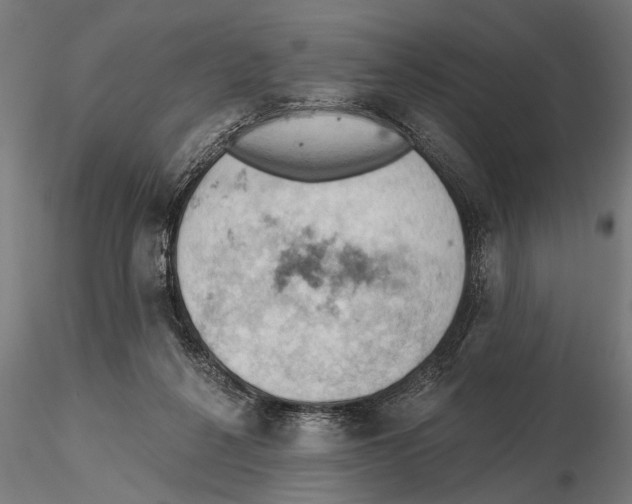 X0000115590264200912081056