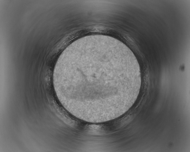 X0000115590265200912081056