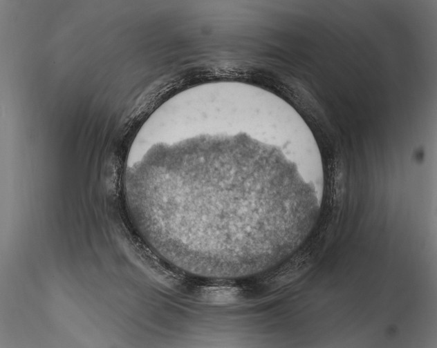 X0000115590266200912081056