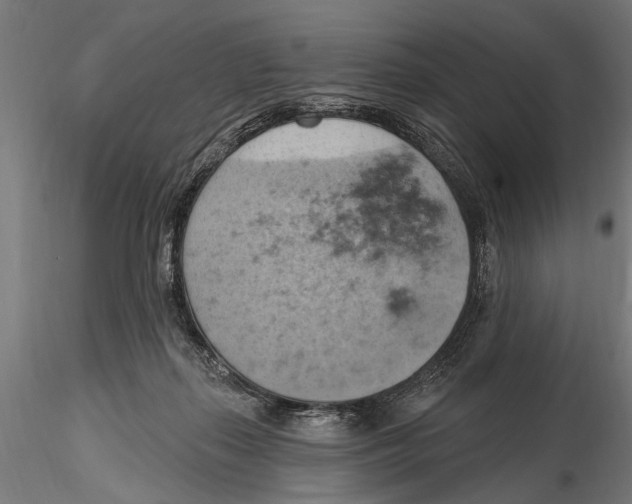 X0000115590267200912081056