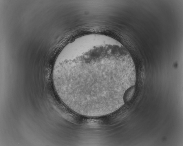 X0000115590268200912081056