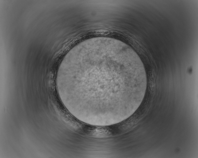 X0000115590270200912081056