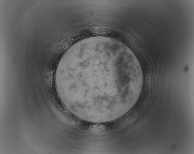 X0000115590271200912081056