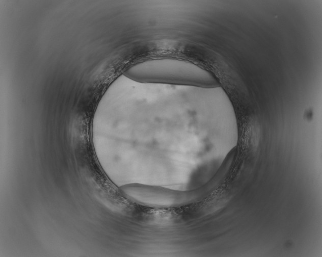 X0000115590272200912081056