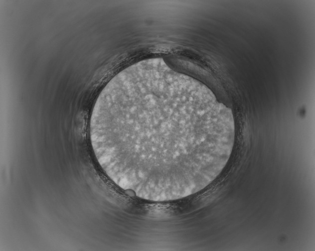 X0000115590273200912081056