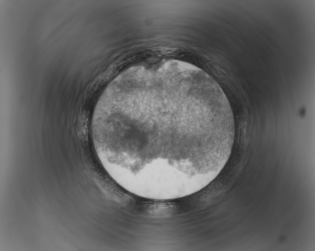 X0000115590274200912081056