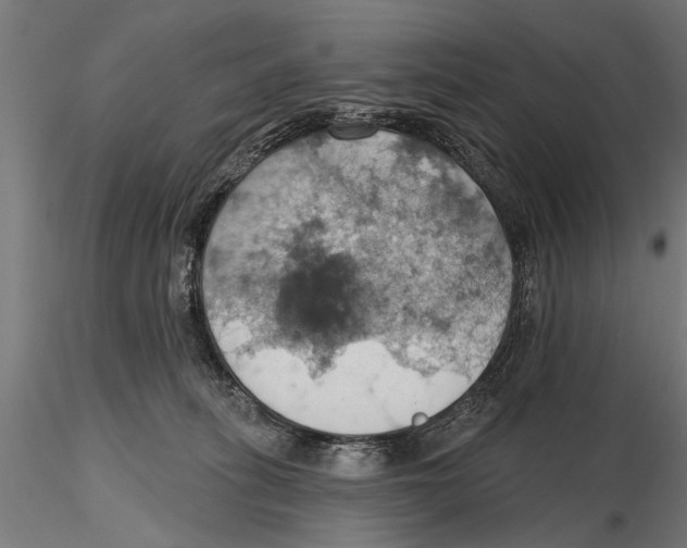 X0000115590275200912081056