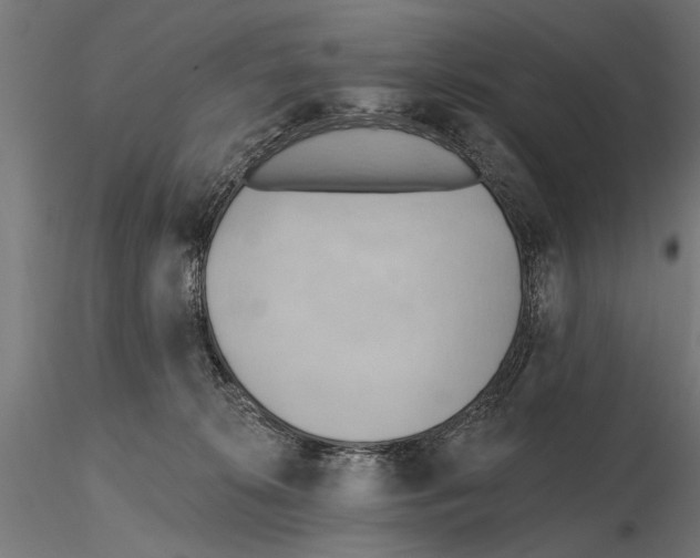 X0000115590276200912081056