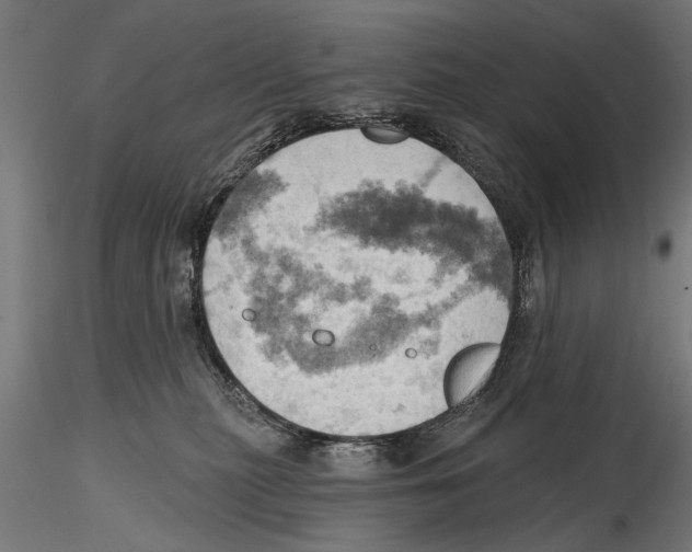 X0000115590279200912081056