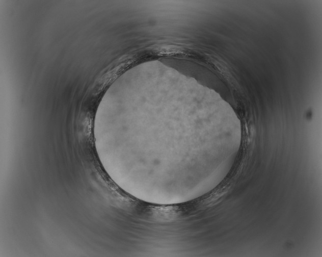 X0000115590281200912081056